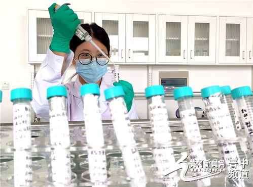 創新突破！全省首家動物疫病診斷試劑順利通過GMP認證，生物醫藥研發再上新臺階